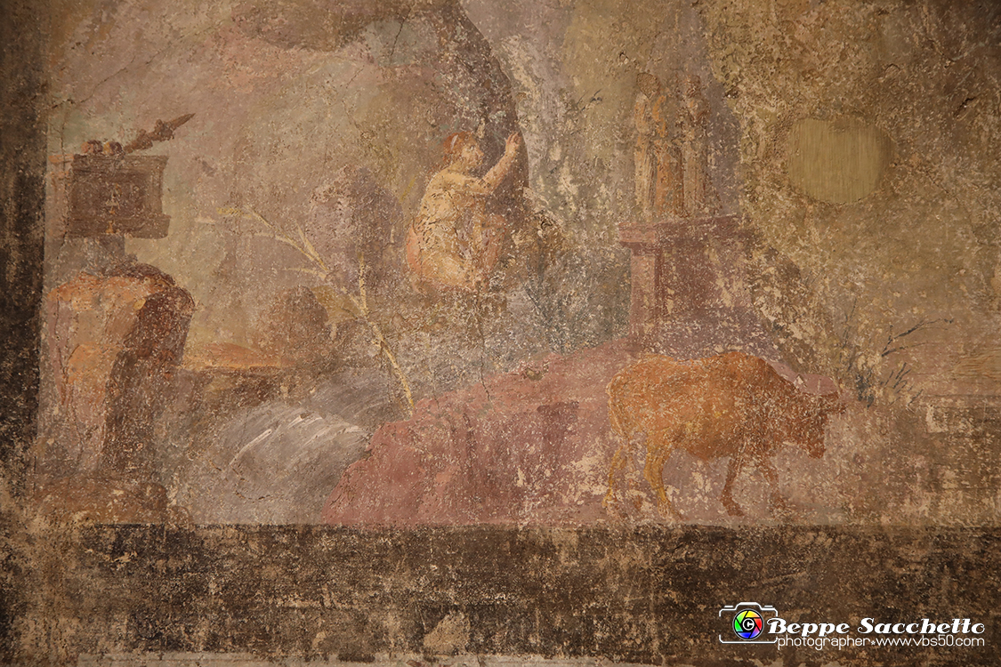 VBS_8997 - Mostra Invito a Pompei.jpg
